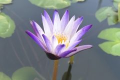 IMG_4026