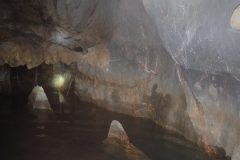 DSCF6342