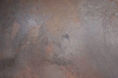 DSCF6359