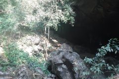 DSCF6368