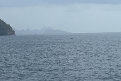 IMG_4146