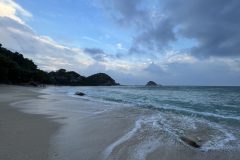 IMG_4100