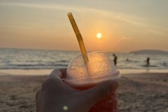 IMG_4434